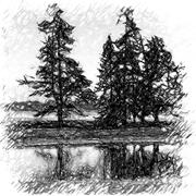 Sacred Wonderland logo Black and white chalk drawing of trees by a lake.