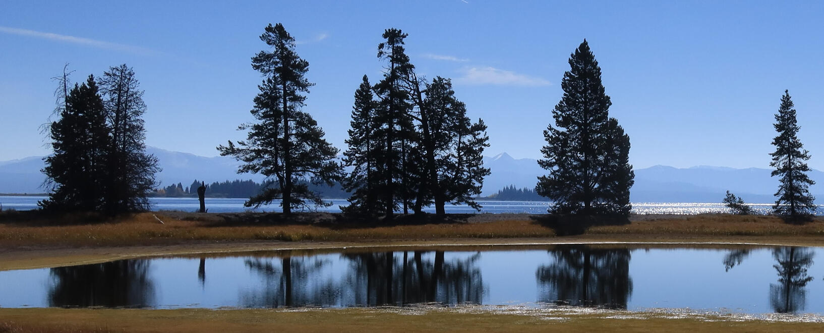 Gull Point on Yellowstone Lake A small, reflective pond is surrounded by tall pine trees and grasslands under a clear blue sky. In the background, sunshine glints on a large body of water with distant mountains on the horizon. This tranquil scene captures the untouched beauty reminiscen